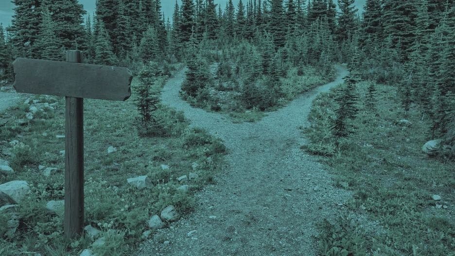 Building a Web Scraper vs. Using Data Extraction Tools